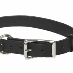 Collier cuir simple pour chien couleur NOIR