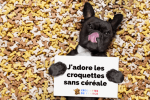 chien qui tiens une affiche avec ecrit j'adore les croquettes sans céréale