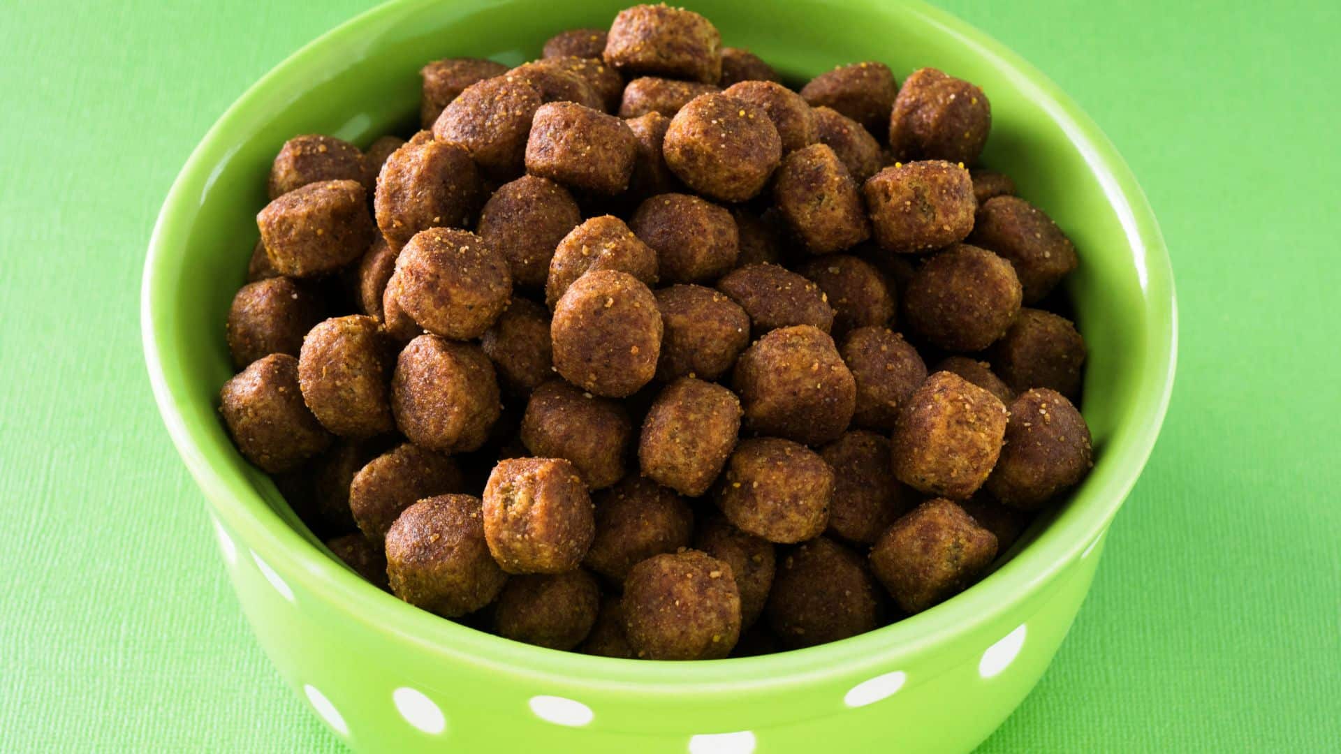 Lire la suite à propos de l’article Pourquoi choisir des croquettes sans céréales pour un chien ?